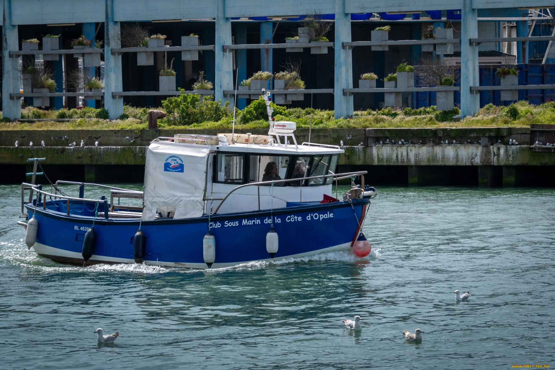 a boat for transporting divers, , , a, boat, for, transporting, divers